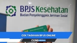 Cek Tagihan BPJS Online