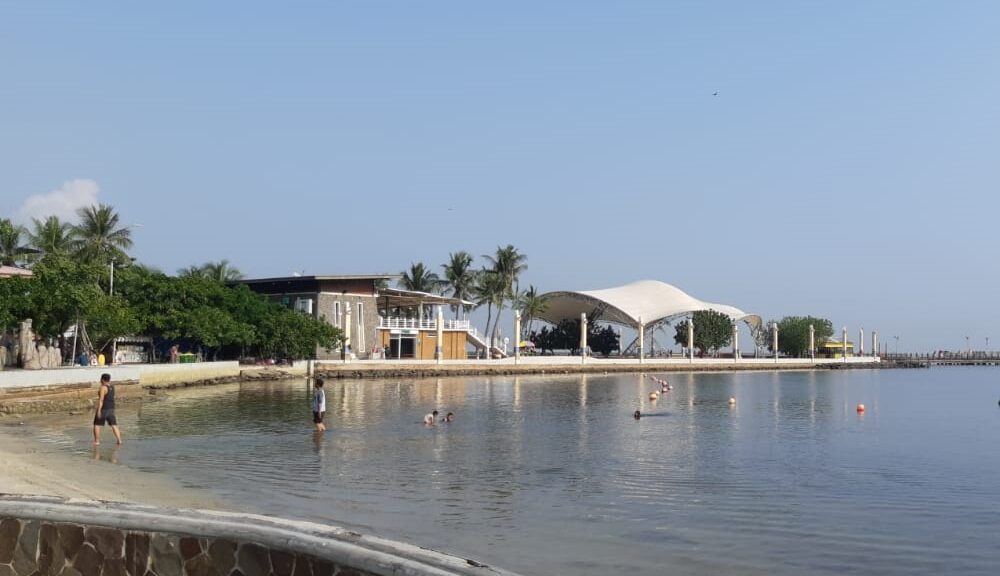 Heboh! Video Ikan Hiu Muncul di Pantai Ancol Desember 2024!