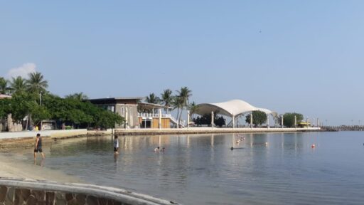 Heboh! Video Ikan Hiu Muncul di Pantai Ancol Desember 2024!