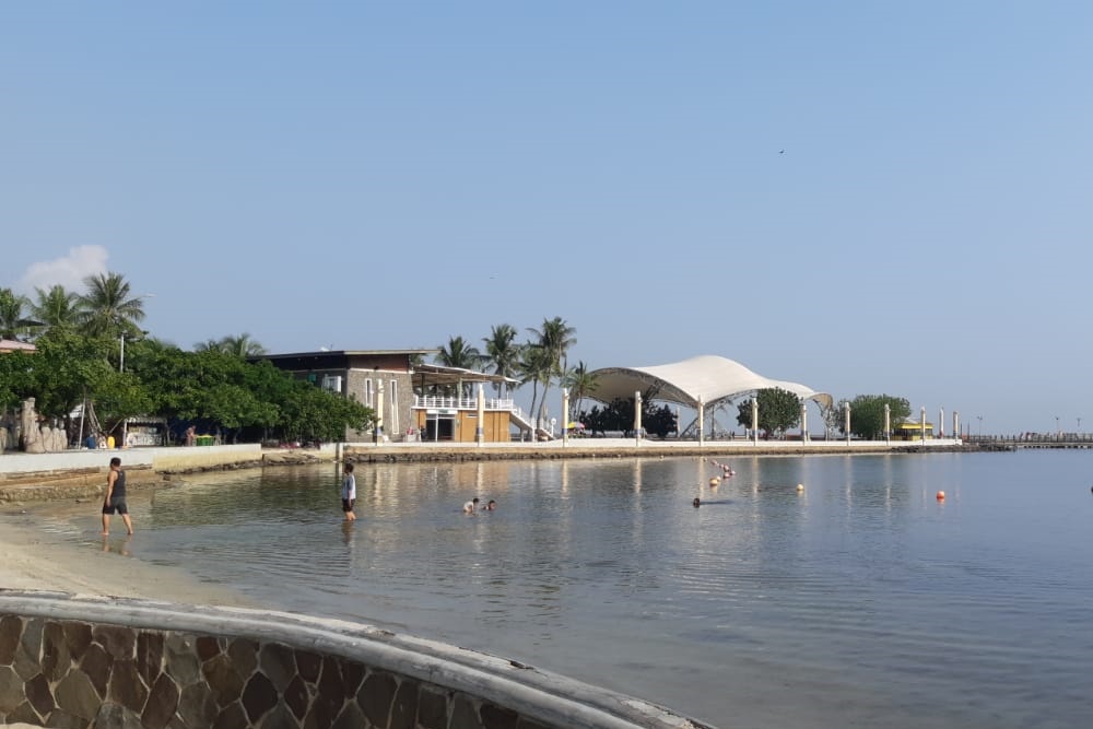 Heboh! Video Ikan Hiu Muncul di Pantai Ancol Desember 2024!