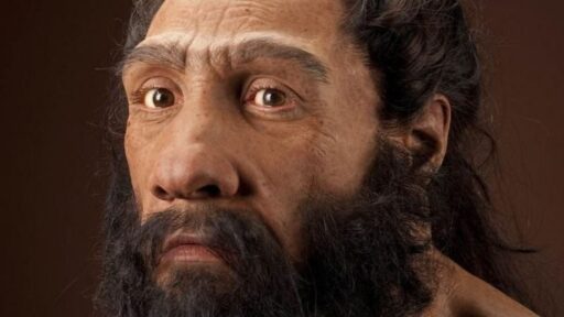 Neanderthal dan Homo Sapiens: Apakah Keduanya Sebenarnya Sama?