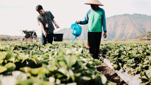 BRI, BUMN Penerbit Obligasi Hijau Terdepan dalam Sustainable Finance