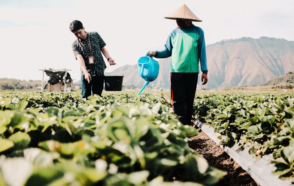 BRI, BUMN Penerbit Obligasi Hijau Terdepan dalam Sustainable Finance