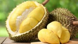 Berburu Durian Premium Bandung: Harga 150 Ribu Dapat Segini!