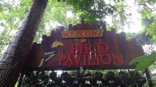 Birds and Bromelia Pavilion: Wisata Edukasi Keluarga Terfavorit!