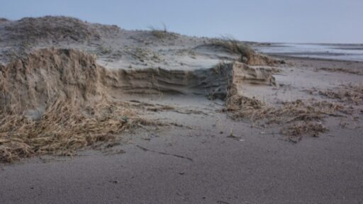 Cara Cegah Abrasi Pantai: Membangun Pagar Laut, Solusi Efektif?