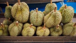 Di Balik Aroma Kuat Durian: Nutrisi dan Manfaat Kesehatannya?