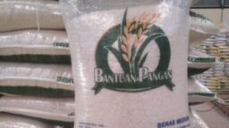 Ketahui Syarat Dapat Bansos Beras 10 kg? Cek Info Selengkapnya!