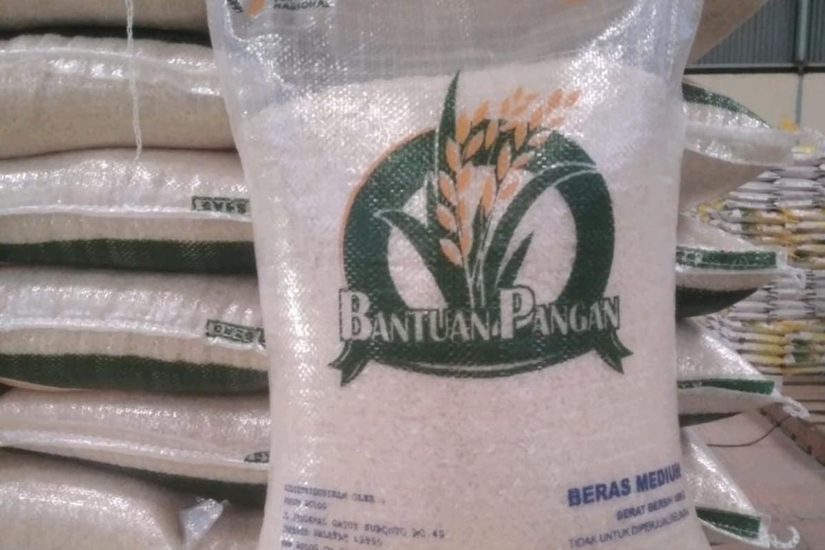 Ketahui Syarat Dapat Bansos Beras 10 kg? Cek Info Selengkapnya!