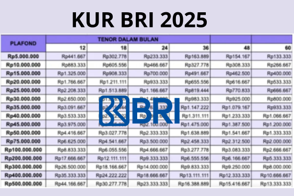 Panduan Ajukan Pinjaman KUR BRI 2025 Online Hingga Rp50 Juta!