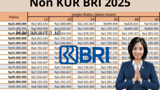 Panduan Lengkap Pinjaman BRI 2025 Plafon Rp55 Juta untuk Umum