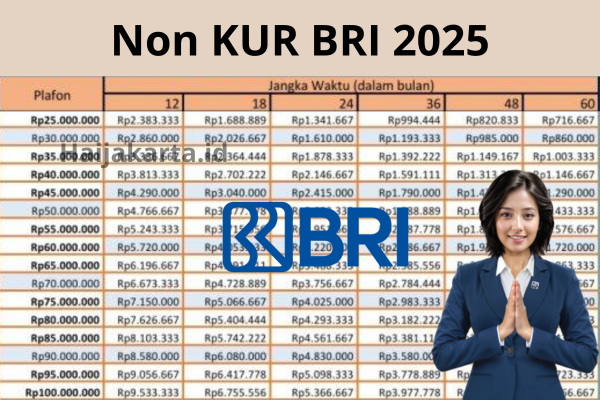 Panduan Lengkap Pinjaman BRI 2025 Plafon Rp55 Juta untuk Umum