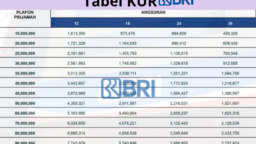 Panduan Lengkap Pinjaman KUR BRI 2025 Rp70 Juta untuk PNS dan Swasta