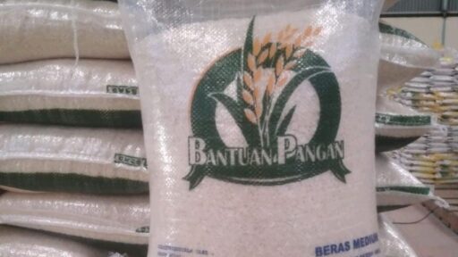 Panduan Syarat dan Cara Daftar Bansos Beras 10 Kg Januari 2025