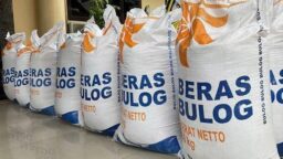 Siapa Berhak Terima Bansos Beras 10 Kg 2025? Cek Info Selengkapnya!