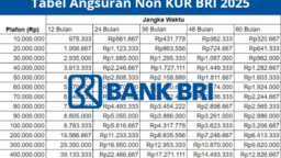 Simulasi Cicilan Non KUR BRI 2025: Rp1,6 Juta/Bulan! Cek Syaratnya!