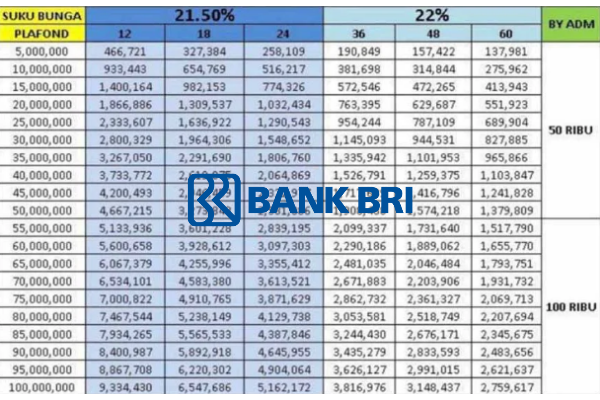 Simulasi Tabel Non KUR BRI 2025: Cicilan Hanya Rp1.290.000/Bulan!