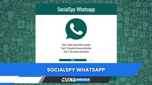 SocialSpy WhatsApp