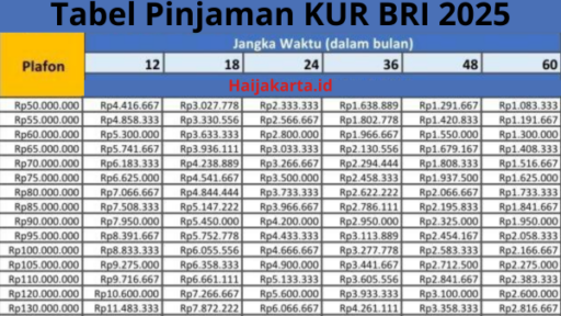 Tabel KUR BRI 2025: Pinjaman Rp100 Juta untuk UMKM, Cicilan Ringan!