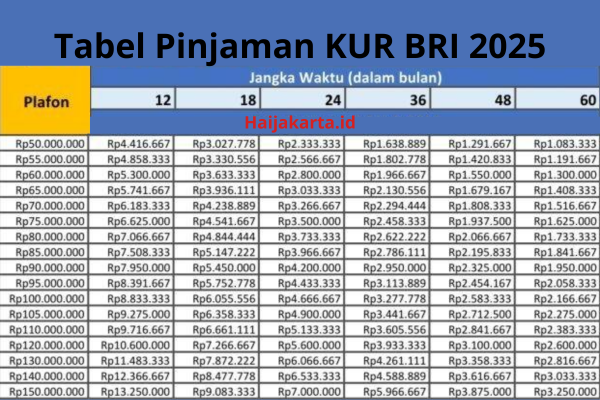 Tabel KUR BRI 2025: Pinjaman Rp100 Juta untuk UMKM, Cicilan Ringan!