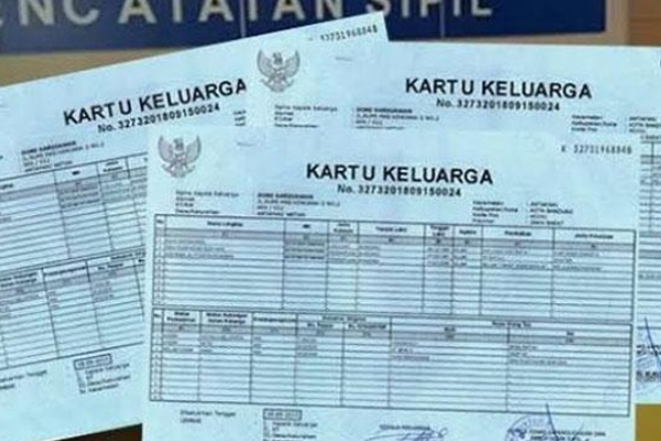 Termudah! Cek Kartu Keluarga Online via Website, WA, dan Aplikasi