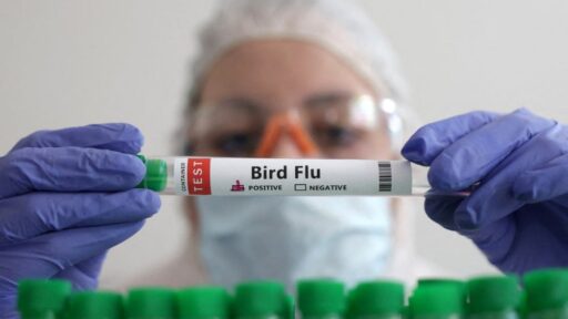 Terungkap! AS Catat Kematian Pertama Karena Flu Burung – Apa Sebabnya?