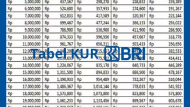 Info Tabel Angsuran KUR BRI 2025, Cicilan 0,5% untuk UMKM!