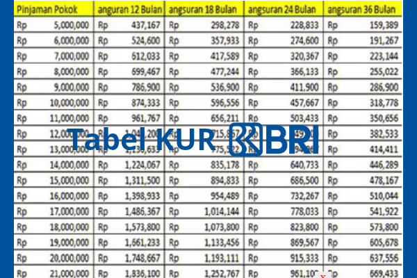 Info Tabel Angsuran KUR BRI 2025, Cicilan 0,5% untuk UMKM!