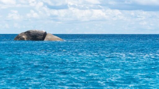 KKP Ungkap Indikasi Pelanggaran Ruang Laut oleh PT CPS!