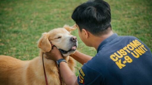 Tak Banyak yang Tahu! Anjing Pelacak Juga Bisa Stres saat Temukan Korban