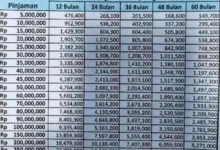 Terbaru! Tabel Angsuran Non KUR BRI 2025 Rp45 Juta Mudah Cair!