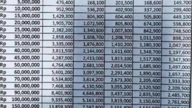 Terbaru! Tabel Angsuran Non KUR BRI 2025 Rp45 Juta Mudah Cair!