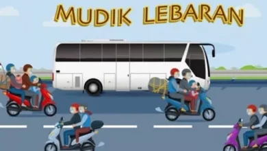 Cek Syarat dan Cara Daftar Mudik Gratis BUMN 2025 Mudah!