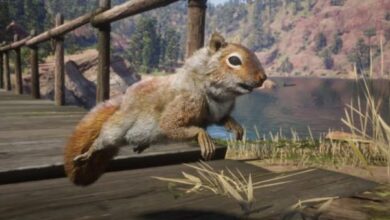 Red Dead Redemption 2: Tips Mudah Cari Perfect Rabbit dan Squirrel!