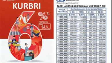 Solusi Pinjaman Bunga Rendah: Tabel Angsuran KUR BRI 2025 Rp300 Juta