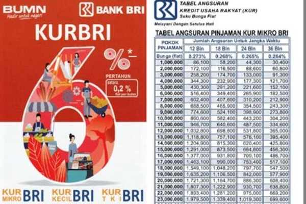 Solusi Pinjaman Bunga Rendah: Tabel Angsuran KUR BRI 2025 Rp300 Juta