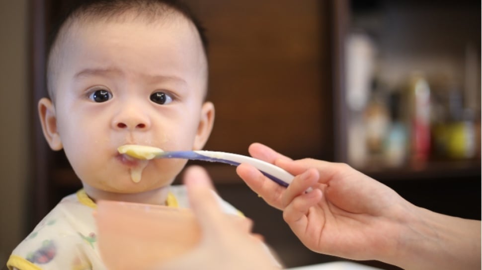 Tips Pencernaan Sehat: Optimalkan Nutrisi Si Kecil di Masa MPASI